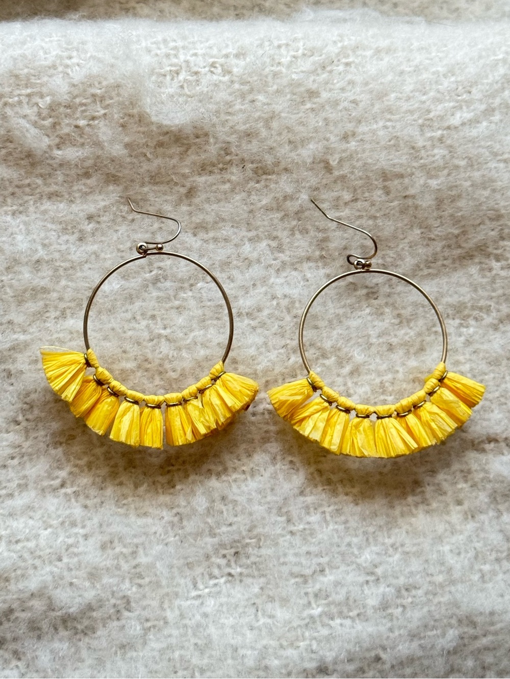 Tassel Hoop Earrings
